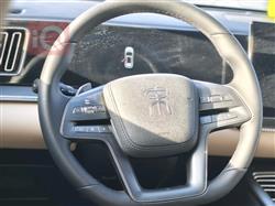 بي واي دي ‎سونغ برو DM-i